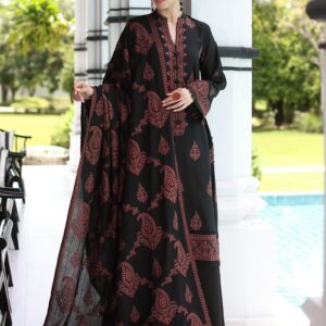 *RESENTING BAREEZE PREMIUM HEAVY EMBROIDERED DHANAK VOL*  *Winter Collection 2025* Fabric *Premium 3-piece Dhanak Suit with Heavy Embroidered  shawal