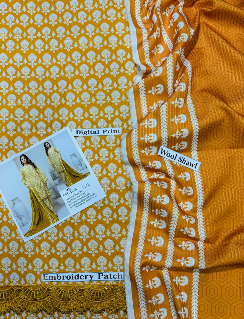 *PRESNETING IDENTIC REGALIA BRAND PRINTED NEW ARRIVAL*  *Winter Collection 2025* - Image 2